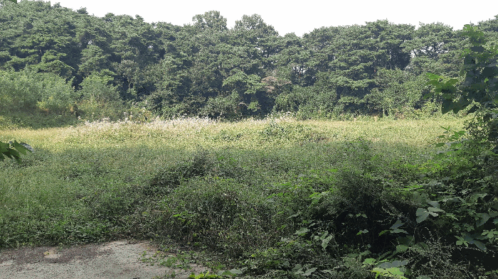 본건 번호 (14, 15) 토지 전경2