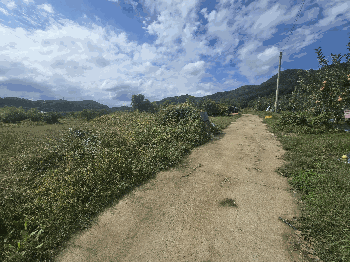 기호 2) 토지 전경