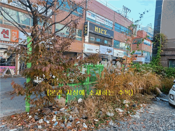 본건 지상에 소재하는 수목