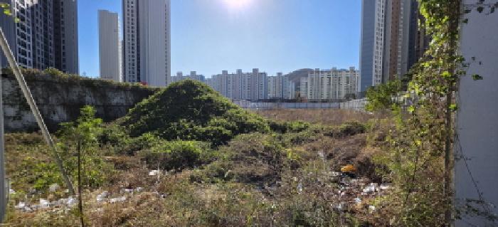 부곡동 517-2 및 주변
