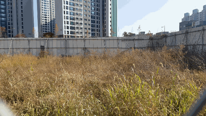 본건 번호 (1) 토지 전경2