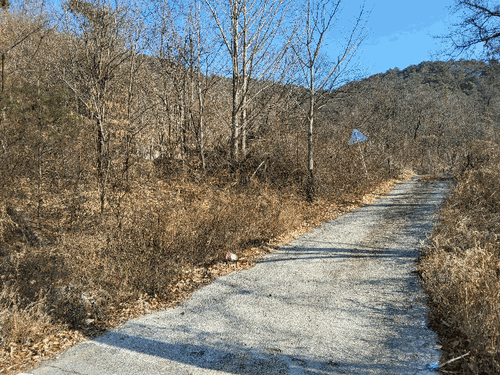 남측 진입도로 전경