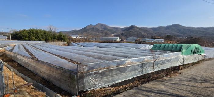 신암리 706 및 주변, 제시외 비닐하우스
