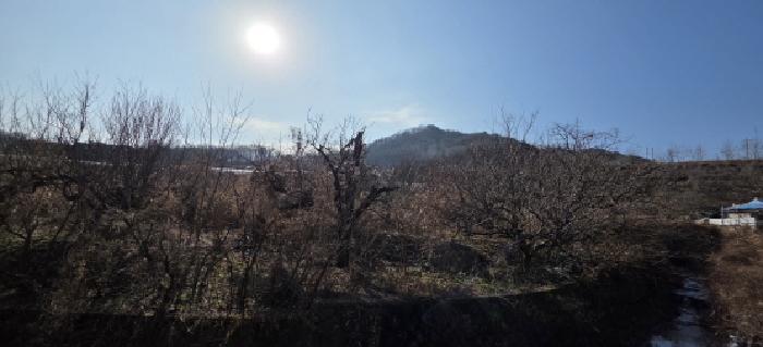 신암리 766 및 주변