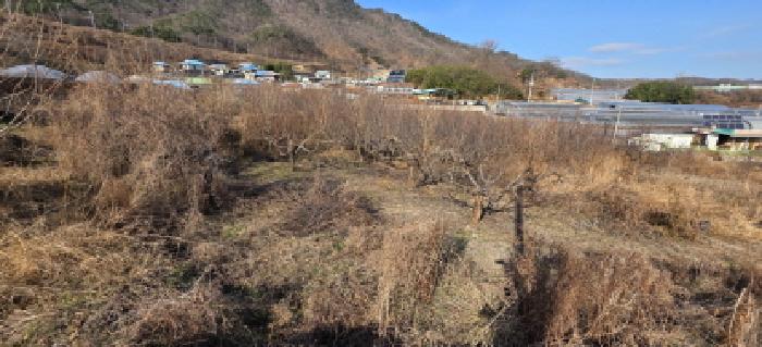 신암리 767 및 주변