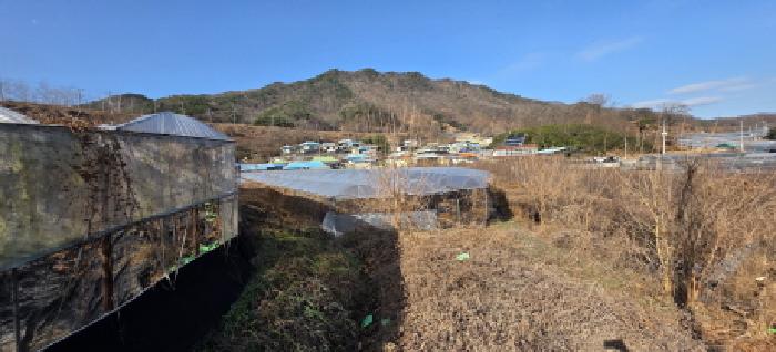 신암리 768 및 주변, 제시외 비닐하우스