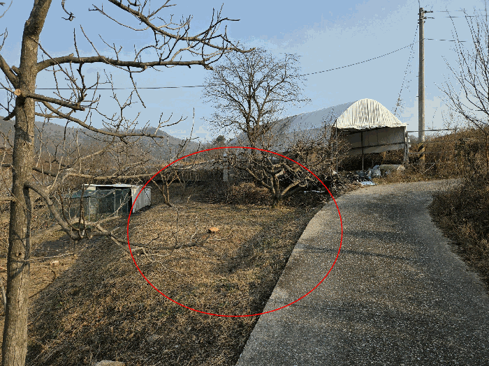 기호(8)토지 서측에서 촬영