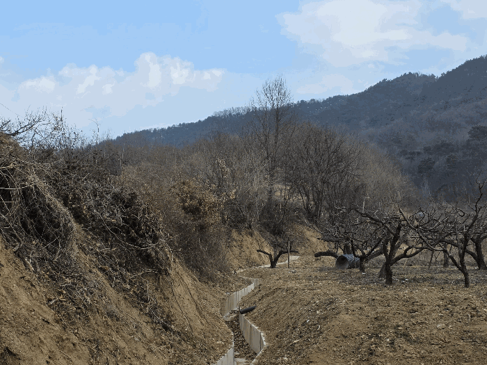 기호1 남동측 전경