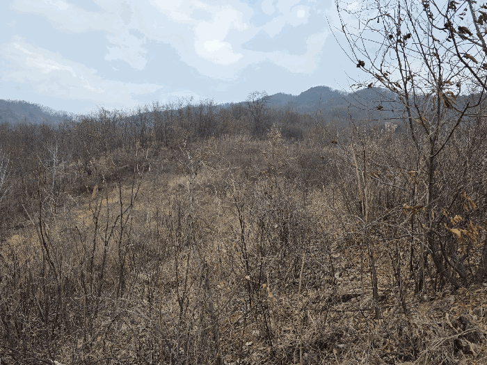 기호3 남동측 전경