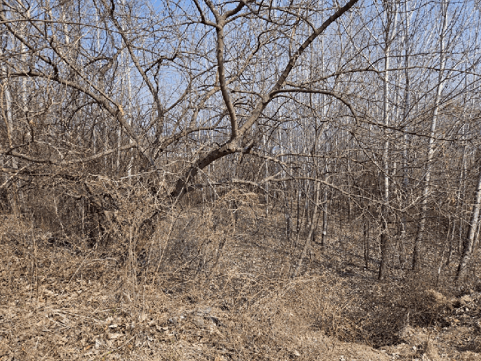 기호(1) 서측에서 촬영한 북측부분