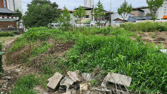 본건 동측 전경