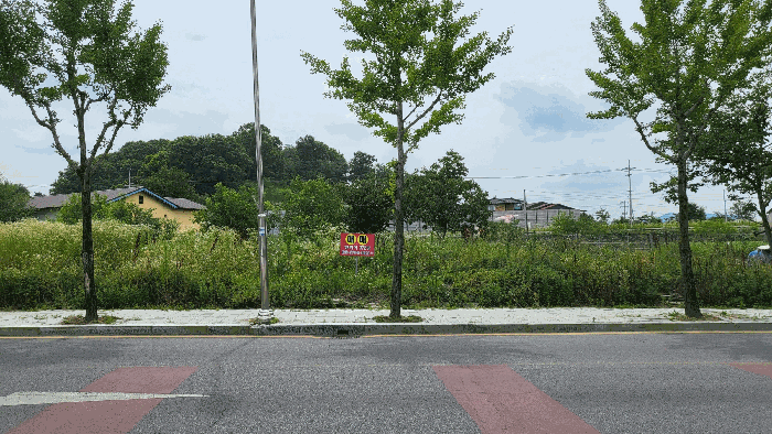 본건 서측 주변 전경
