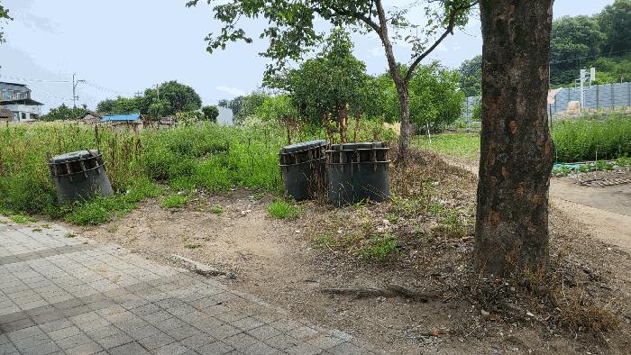 본건 서측 전경