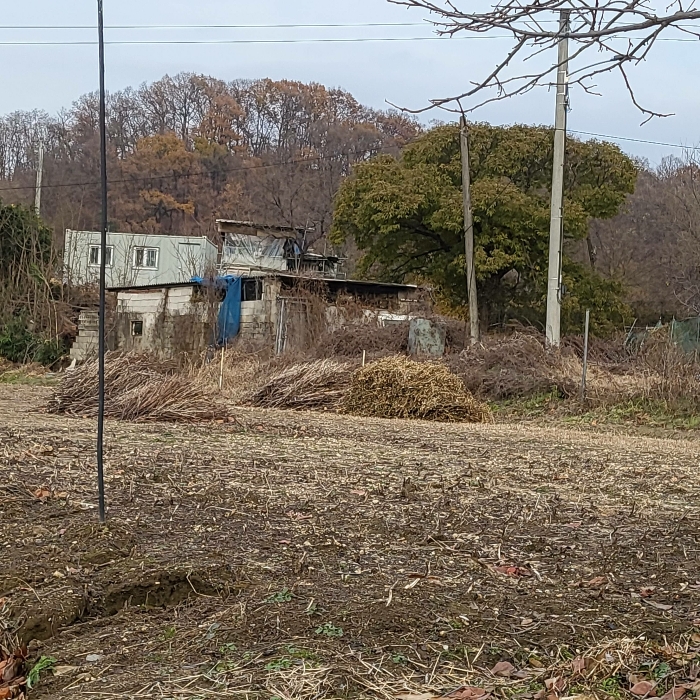 본건 남서측 전경