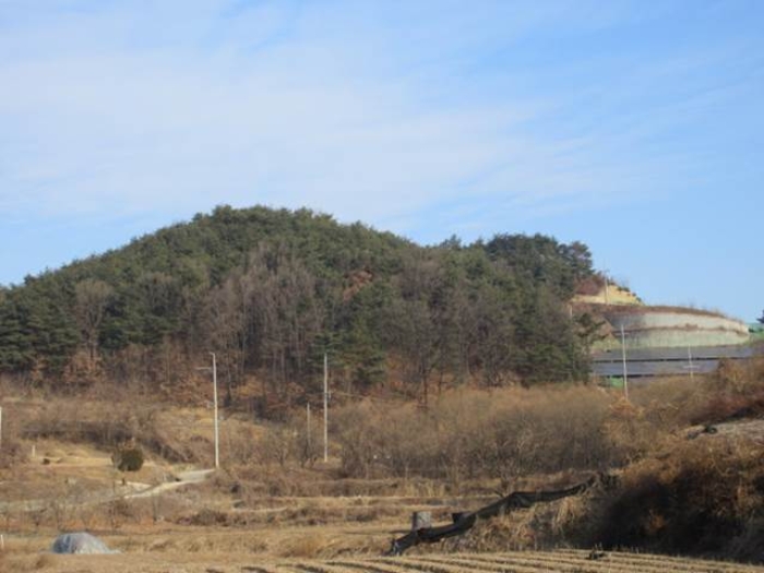 2024타경2038