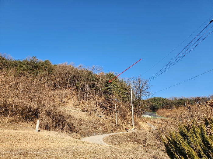 본건 전경