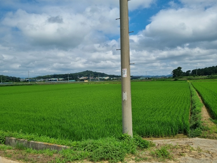 기호1) 전경