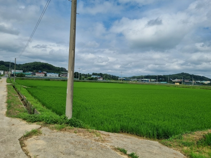 기호1) 전경