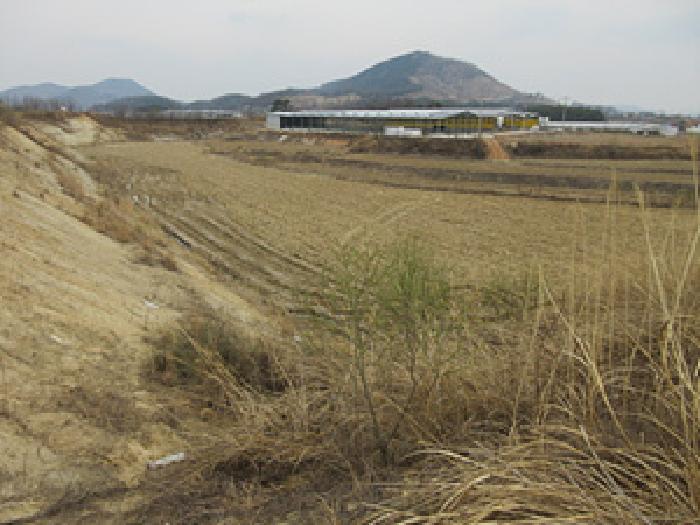 2025타경142