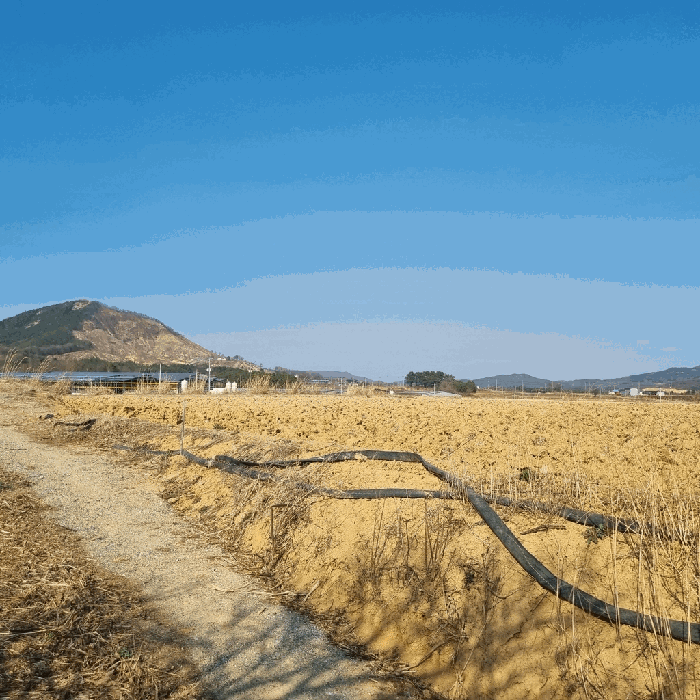 본건 남측 일부