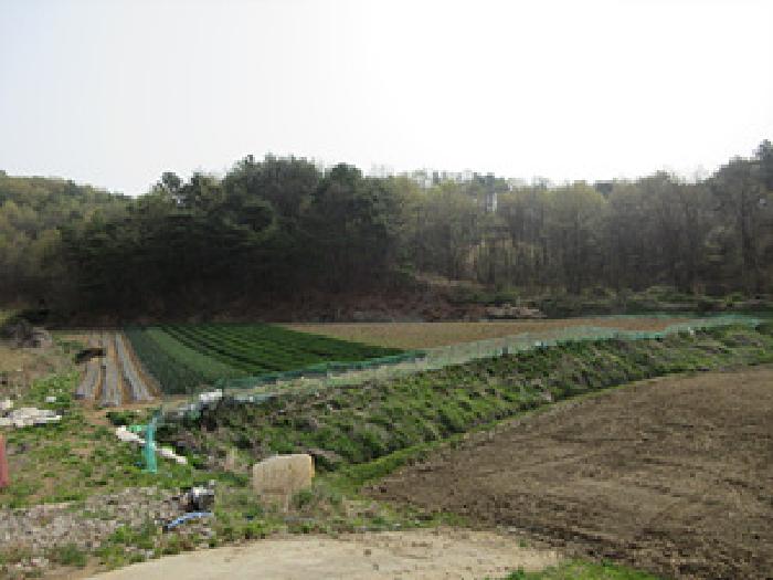 2025타경150