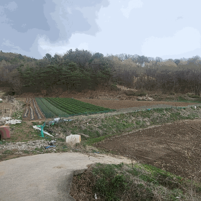 본건 남서측 전경