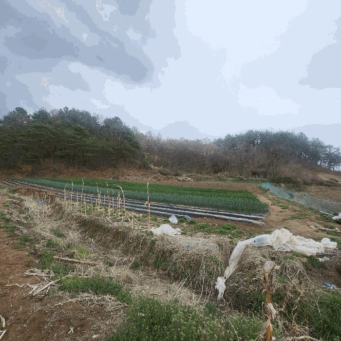 본건 서측 전경