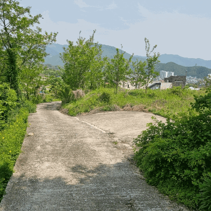 본건 전경(북측에서 촬영)