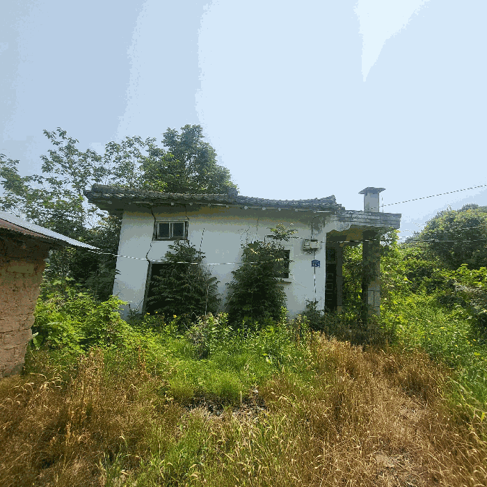 본건 북서측 전경