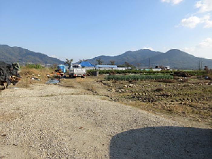 2025타경246