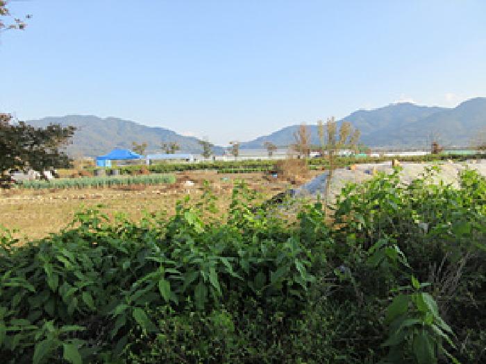 2025타경246