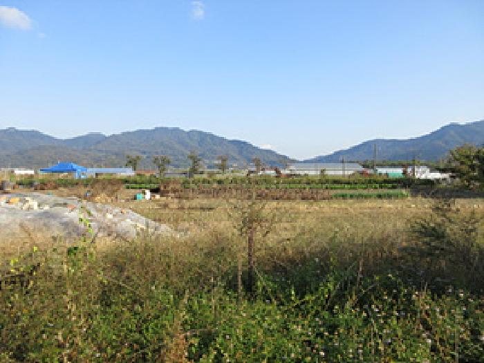 2025타경246