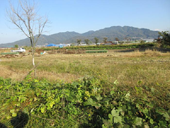 2025타경246