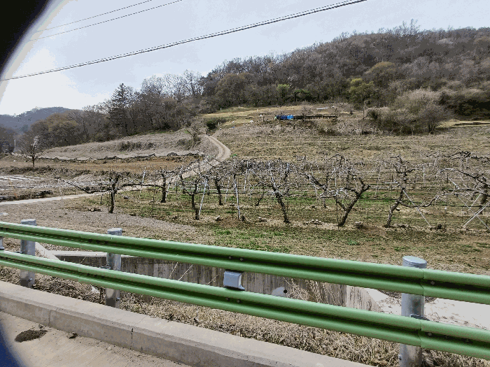 본건 토지 주변 전경
