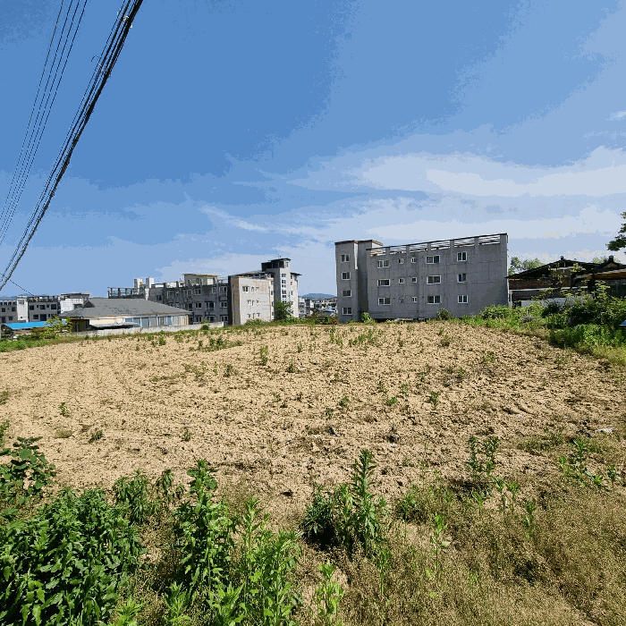 본건 전경