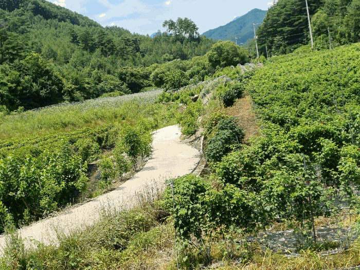 본건 주변 전경