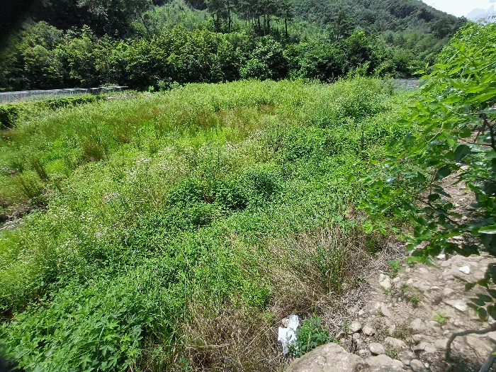 본건