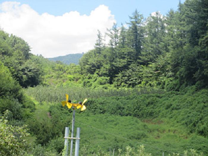 2025타경5377