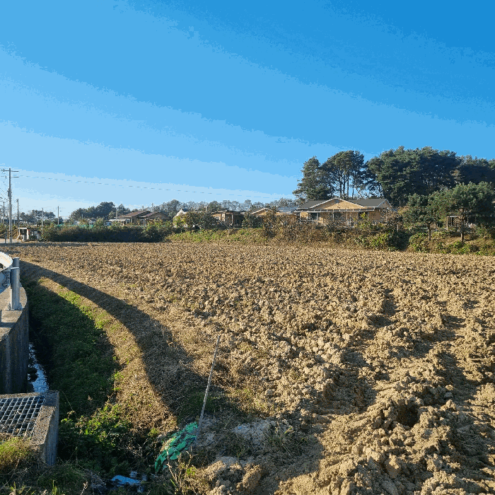 본건 전경