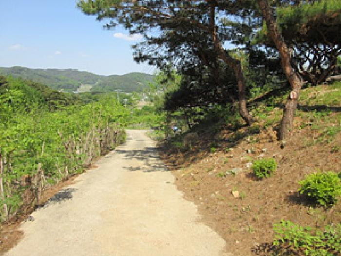 2026타경26