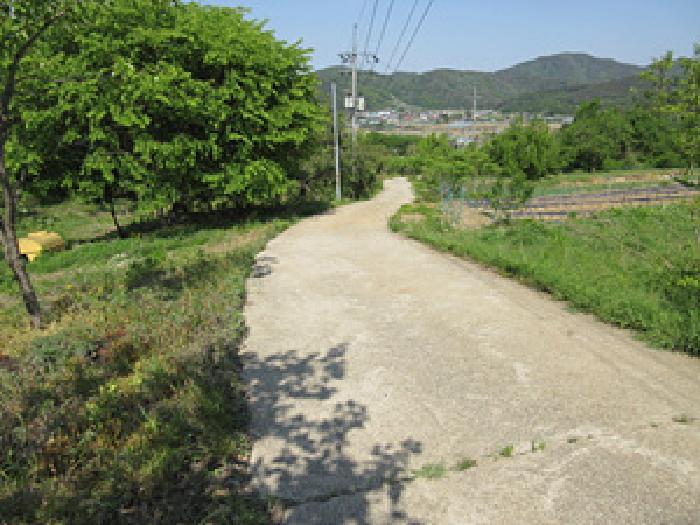 2026타경26