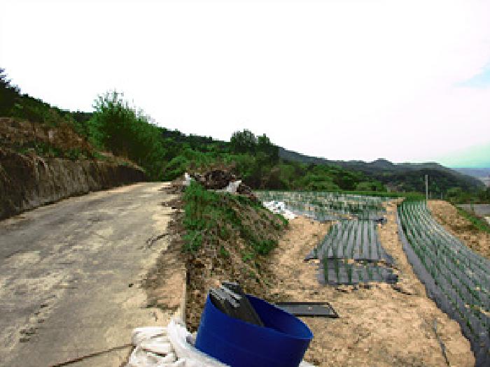 2026타경3091