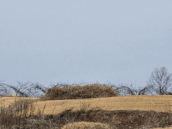 용도불분명 둔덕전경