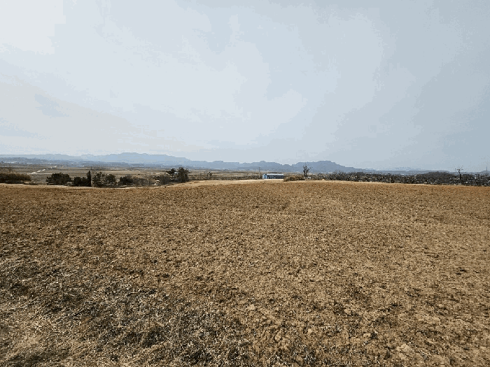 본건전경