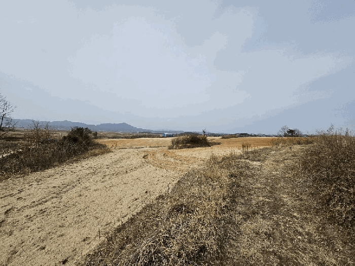 본건전경