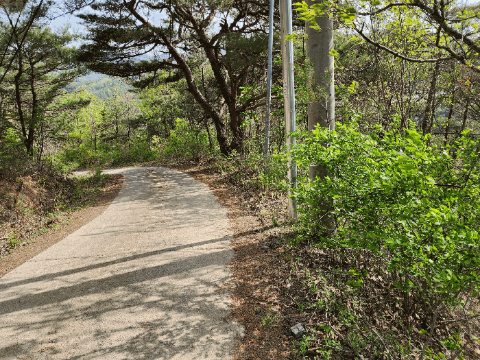 북측 끝 부근 및 도로