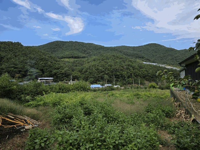 기호 4) 남측 원경