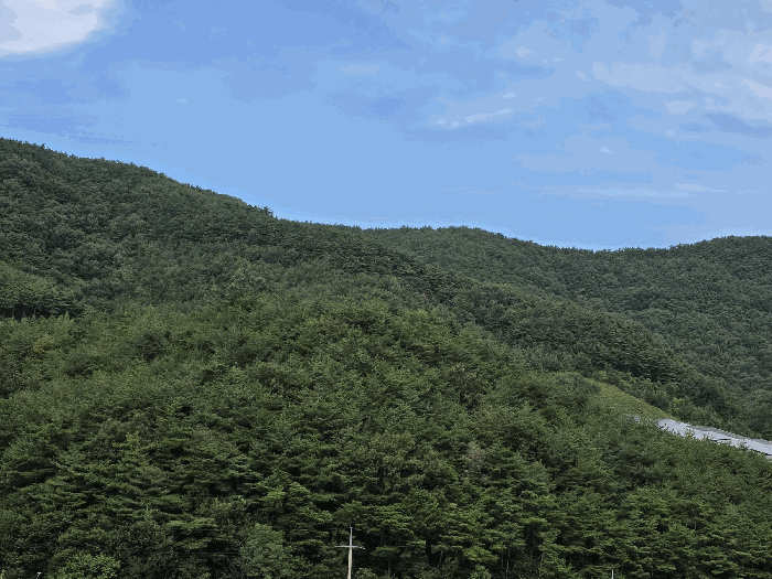 기호 4) 태양광 북서측