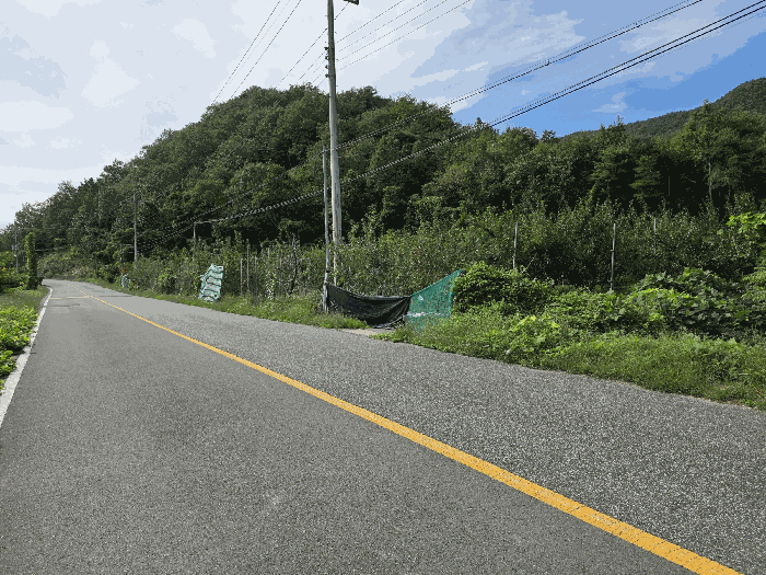 기호 5,6) 남동측 근경