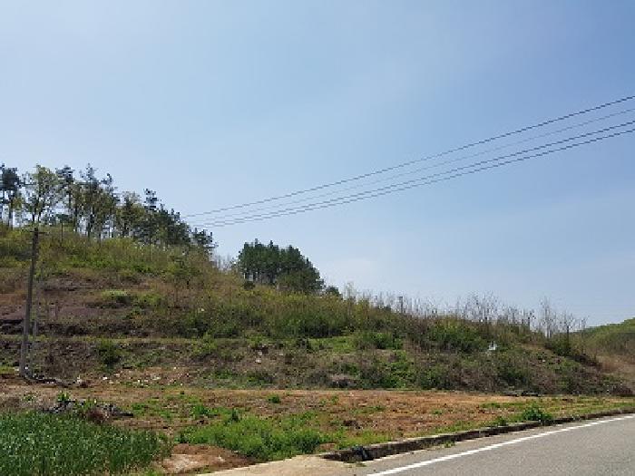 2025타경10165